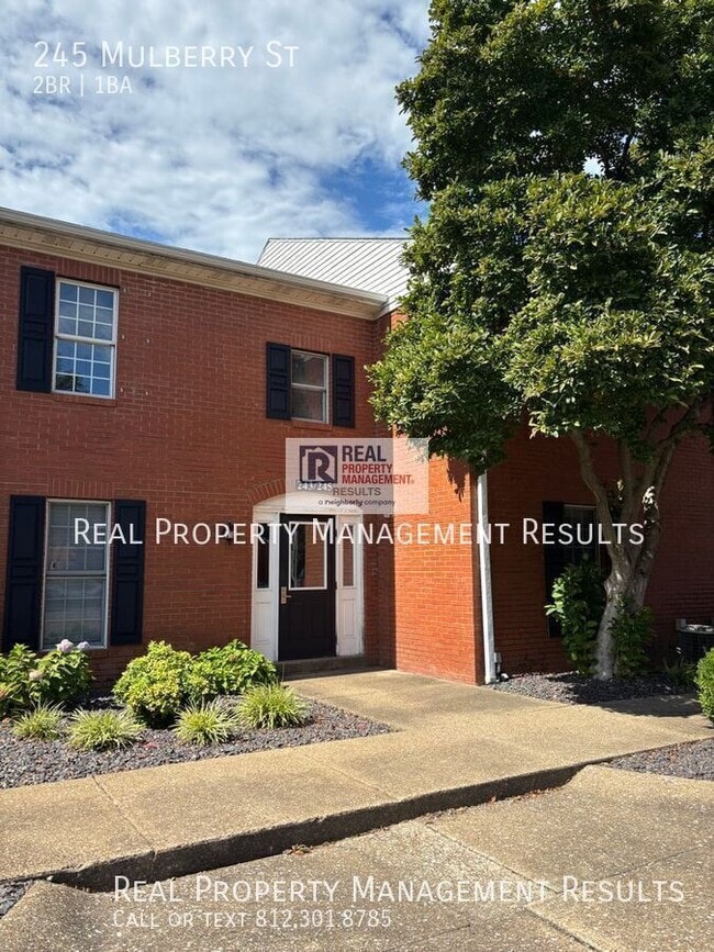 property at 245 Mulberry St