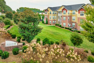 Avalon at Sweeten Creek in Arden, NC - Building Photo