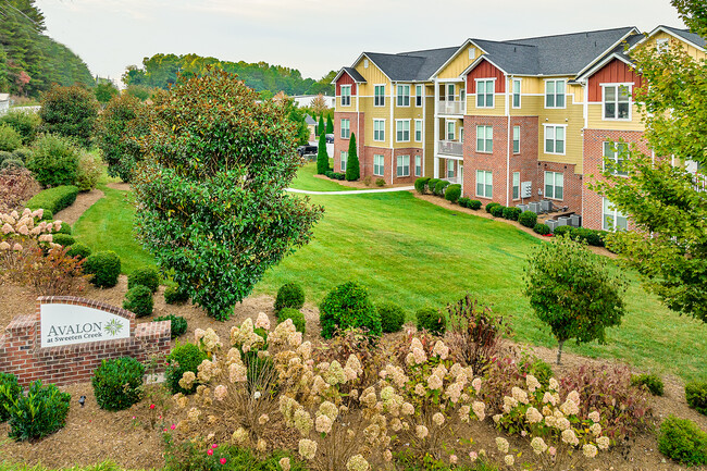 Avalon at Sweeten Creek in Arden, NC - Building Photo - Building Photo