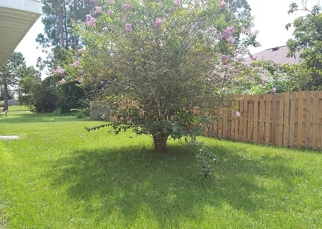 141 Inconnu Ct in Kissimmee, FL - Building Photo - Building Photo