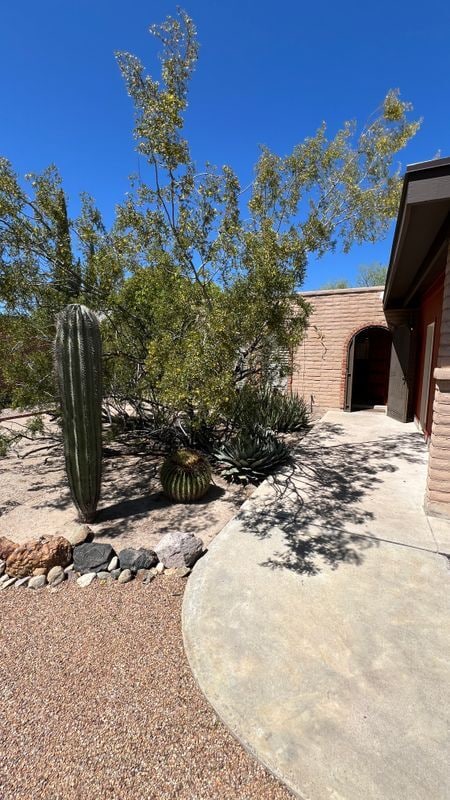 4517 E Patricia St in Tucson, AZ - Building Photo - Building Photo