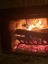 5041 E Shore Dr in Memphis, TN - Building Photo - Building Photo