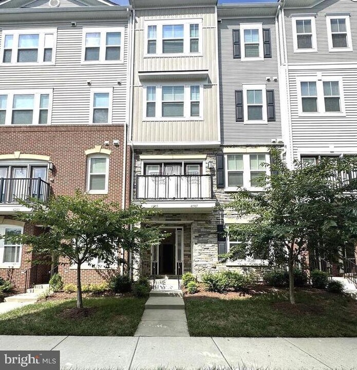 41985 White Mills Terrace in Stone Ridge, VA - Building Photo