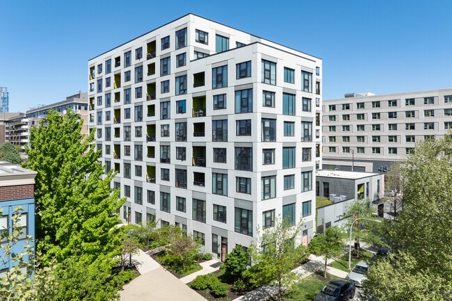 Terrace 459 in Chicago, IL - Foto de edificio - Building Photo