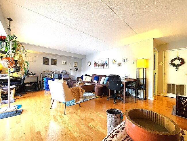 1243 Beacon St, Unit 2D in Brookline, MA - Foto de edificio - Building Photo