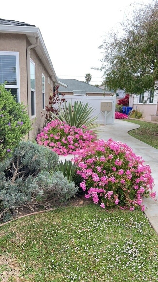 4830 Pescadero Ave in San Diego, CA - Building Photo - Building Photo