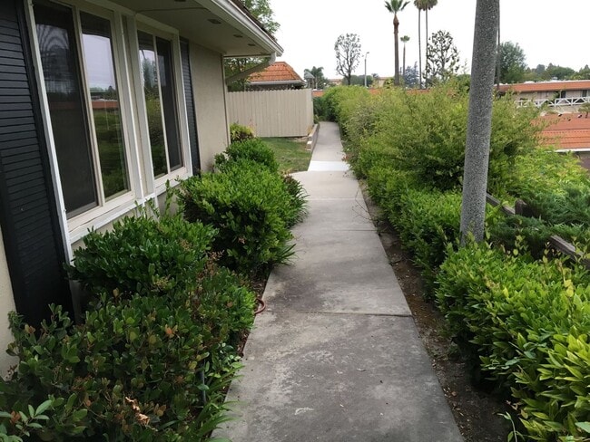 23491 Los Adornos in Laguna Hills, CA - Building Photo - Building Photo