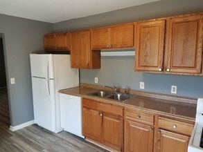 1118 Austin Dr in Urbana, IL - Building Photo - Building Photo