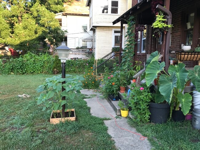 property at 485 Wyandotte Ave