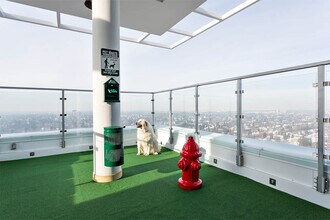 The MacLaren in Edmonton, AB - Building Photo - Building Photo