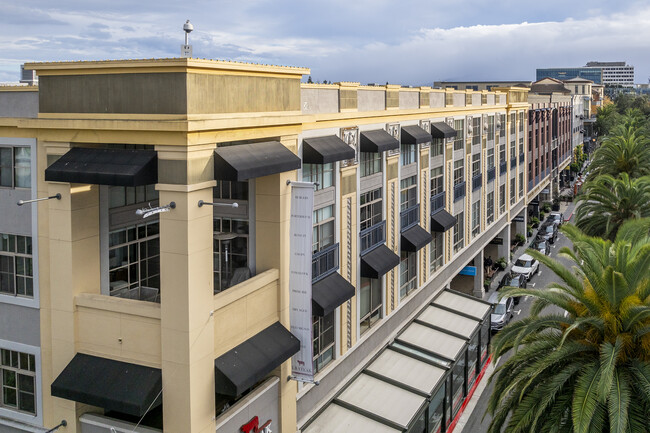 The Margo in San Jose, CA - Foto de edificio - Building Photo