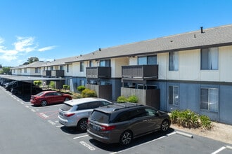 Pine Meadows Apartments in Concord, CA - Foto de edificio - Building Photo