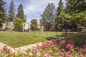 Brookdale Apartments in San Jose, CA - Foto de edificio - Building Photo