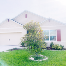 316 Pitch Pine Dr in Debary, FL - Building Photo - Building Photo