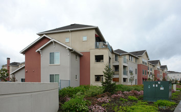 Arbor Park in San Jose, CA - Building Photo - Building Photo