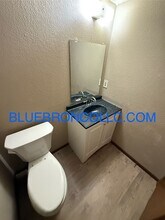 139 SW Oxford Pl in Lee's Summit, MO - Building Photo - Building Photo