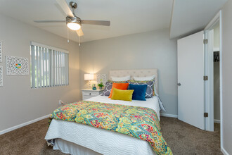 Shadowtree Apartment Homes in Tucson, AZ - Building Photo - Interior Photo