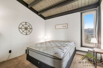 2100 Lodgepole Cir in Silverthorne, CO - Building Photo - Building Photo