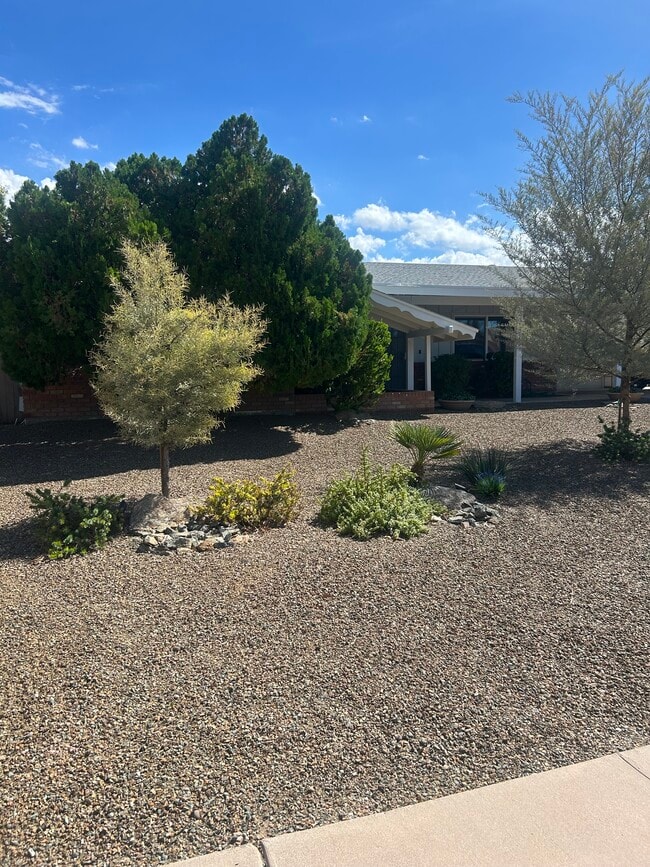 property at 1303 N Roca