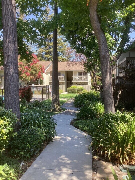 2560 Walnut Blvd in Walnut Creek, CA - Building Photo