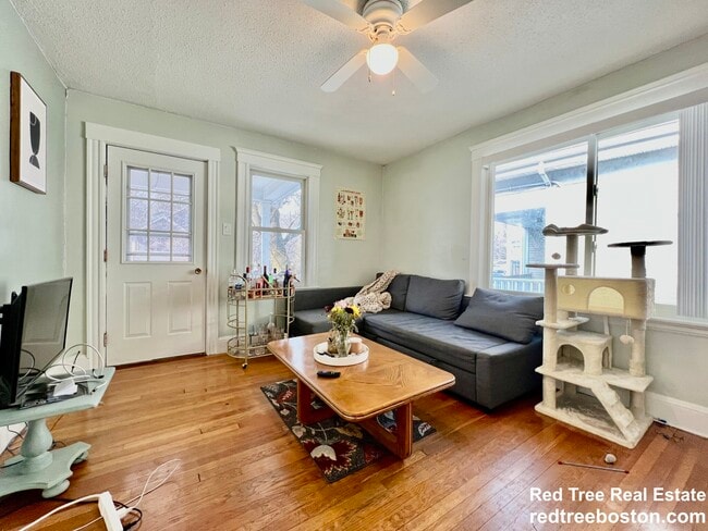 property at 44 Day St