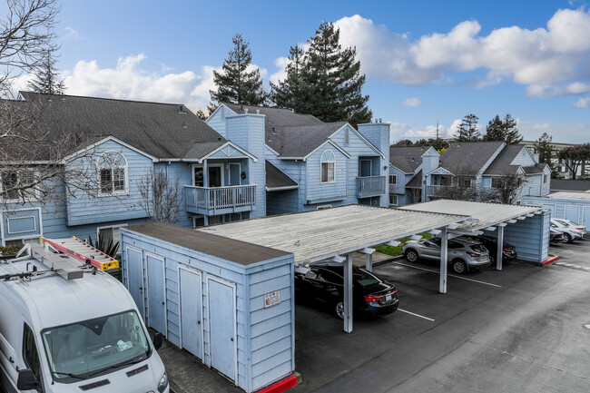 Mountain View Apartments in Santa Rosa, CA - Building Photo - Primary Photo