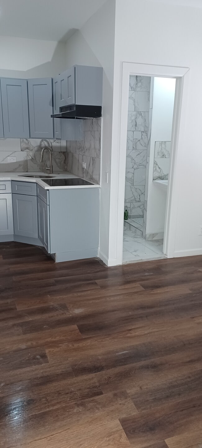 341 Midwood St in Brooklyn, NY - Building Photo - Building Photo