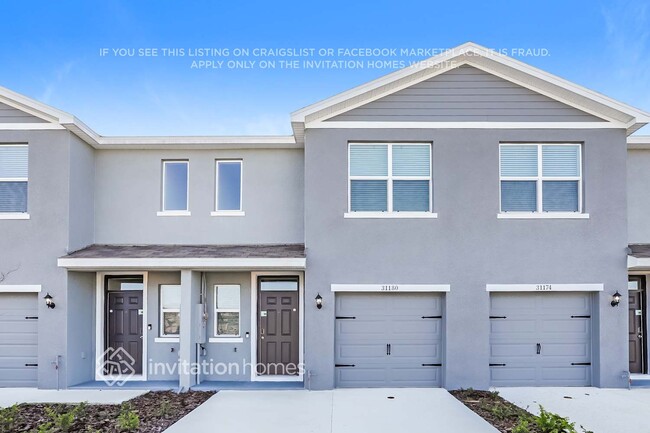 31180 Striped Maple Ln in Wesley Chapel, FL - Foto de edificio - Building Photo