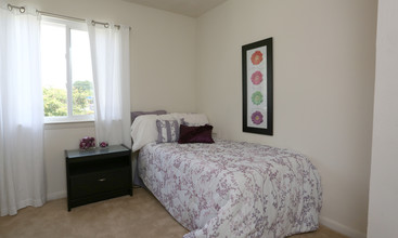 College Square Townhomes Apartments in Virginia Beach, VA - Foto de edificio - Building Photo