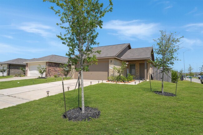 26706 Paloma Blanca Dr in Katy, TX - Building Photo - Building Photo