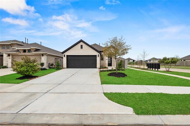property at 29411 Mesquite Oaks Dr