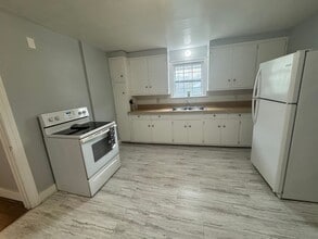 1021 S 8th St in Springfield, IL - Building Photo - Building Photo