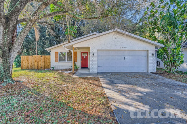 2894 Cathy Ln in Clearwater, FL - Building Photo - Building Photo