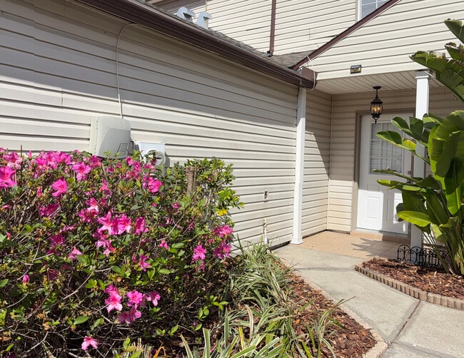 6141 Oak Cluster Cir in Tampa, FL - Foto de edificio - Building Photo