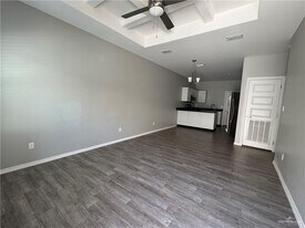 17 Carlisle Ave in Edinburg, TX - Building Photo