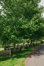 3 Patten Rd in Rhinebeck, NY - Building Photo - Building Photo