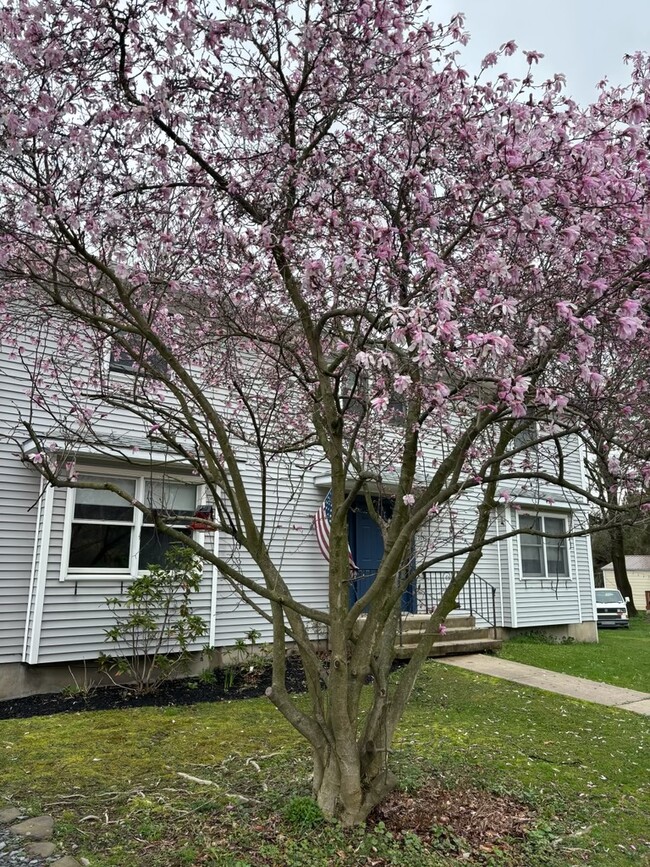 property at 203 N Turnpike Rd