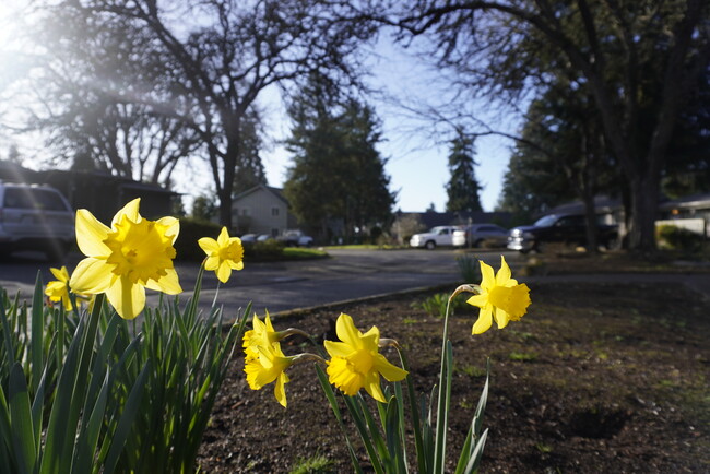 Landsby Place Retirement Community in Eugene, OR - Building Photo - Building Photo