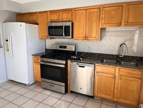 427 S Euclid Ave in Oak Park, IL - Building Photo - Building Photo