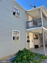 360 W Patrick St in Frederick, MD - Building Photo