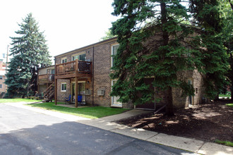 Georgetown Apartments in Palatine, IL - Building Photo - Building Photo