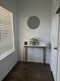 2443 Roaming Elk Ct in Spring, TX - Building Photo - Building Photo