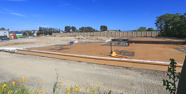 Chestnut Square Senior Housing in Livermore, CA - Building Photo - Building Photo