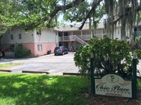 1113 Ohio Ave in Dunedin, FL - Foto de edificio - Building Photo