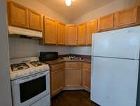 912 W Dakin St, Unit 312 in Chicago, IL - Building Photo - Building Photo