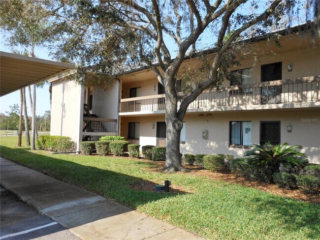 112 Woodlands Ct in Oldsmar, FL - Building Photo - Building Photo