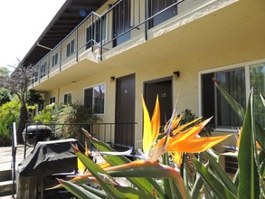 Camden House Apartments in San Jose, CA - Foto de edificio - Building Photo