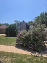 14203 Anita Marie Ln in Austin, TX - Building Photo