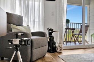 2506 N Rocky Point Dr in Tampa, FL - Foto de edificio - Building Photo