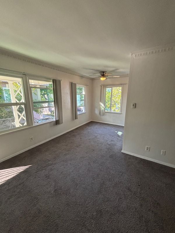 1801 Camden Ave in Los Angeles, CA - Building Photo - Building Photo